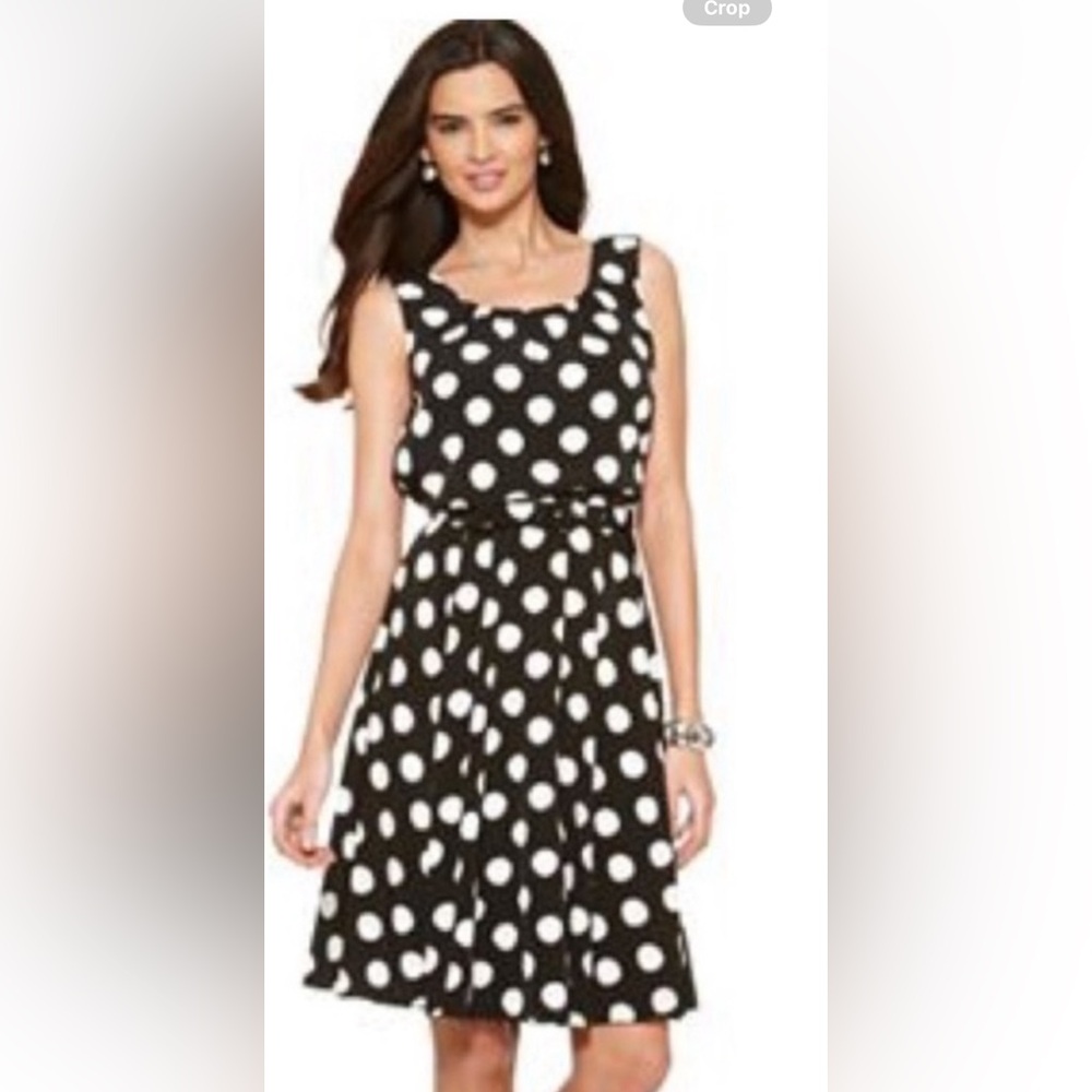 Alfani Sleeveless Polka Dot
Dress Size 10.
